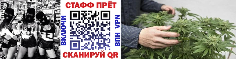 МЕФ Каменногорск