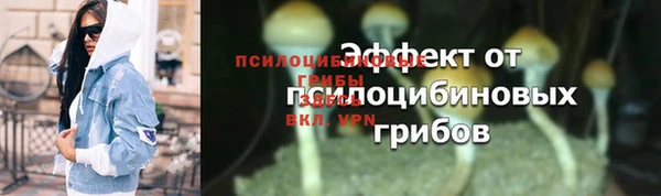 эйфоретик Зерноград