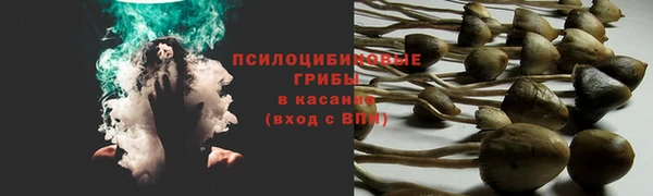 эйфоретик Зерноград