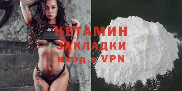 прущие грибы Михайлов