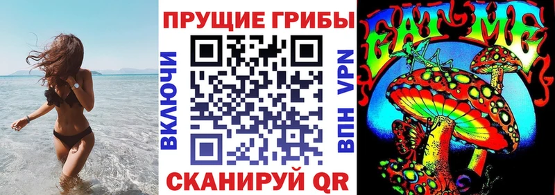 Псилоцибиновые грибы Cubensis  Каменногорск 